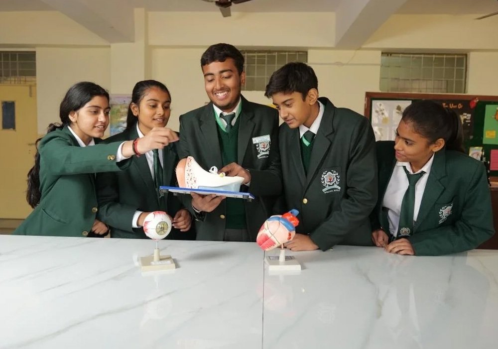 Curriculum & Pedagogy